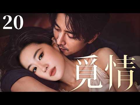 都市情感電視劇【覓情】▶ 20 | 劉亦菲和陌生男人一見鍾情，相愛後竟雙雙失憶，再次重逢後，背後竟藏著一場跨越多年的驚天陰謀（劉亦菲、李一桐、金瀚） 💖中劇放映廳