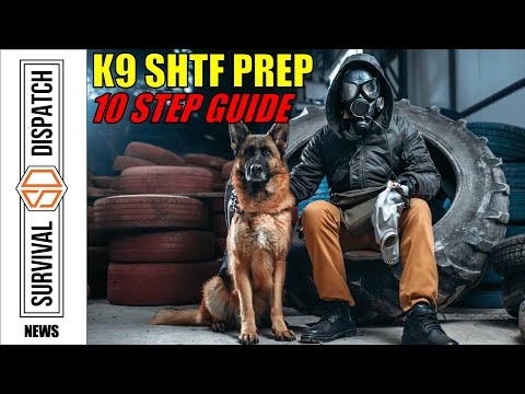 Urban Survival: K9 Preparedness 10 Step Guide