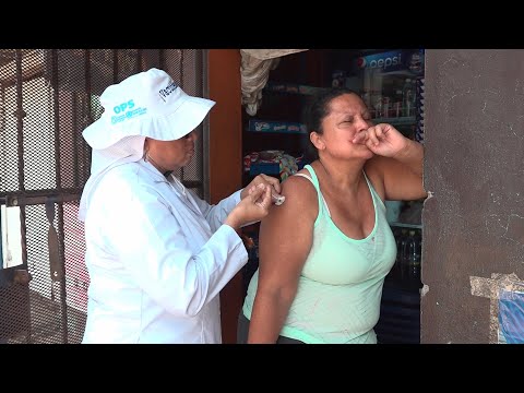 400 viviendas visitaron los brigadistas de salud para inmunizar a las familias en Managua