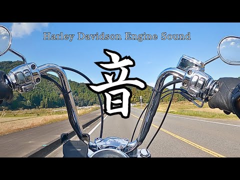 【高音質】エンジン音　ハーレーダビッドソン　ソフテイル　Harley Davidson Engine Sound