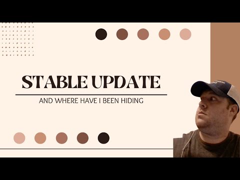 June Stable Update | Why I Took a Break | Zed Run