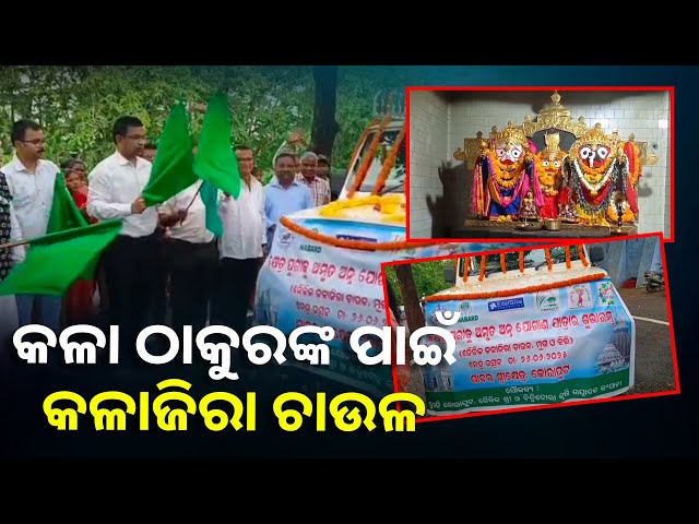 ଶାବର ଶ୍ରୀକ୍ଷେତ୍ରରୁ ଶ୍ରୀକ୍ଷେତ୍ରକୁ ଗଲା ଜୈବିକ କଳାଜିରା ଚାଉଳ ||Knews Odisha