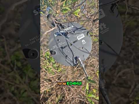 POTA Success with SpoolTenna 40M EFHW #hamradio #gmrs #offgrid