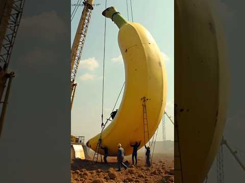 You Won’t Believe This Giant Banana! | #GiantBanana #treandingshort #viralvideo #shorts