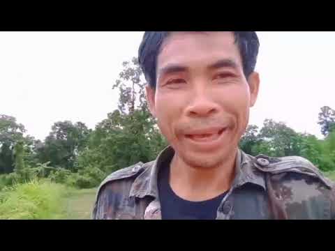 ไปตกกล้าแต่ลุงพลมาเกียวหยังครั ไปตกกล้าแต่ลุงพลมาเกียวหยังครั