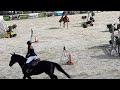 Allround chevaux Lolita van de Kroon