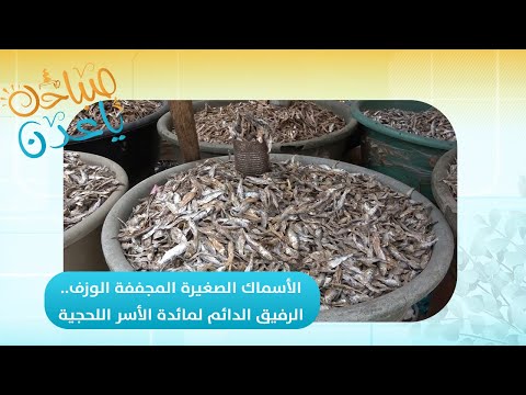 صباحك ياعدن | الوزف الأسماك الصغيرة المجففة... الرفيق الدائم لمائدة الأسر اللحجية تقرير
