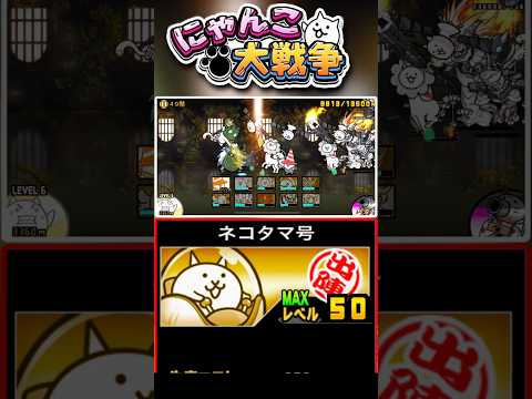 ネコタマ号ォォォォォォォォォォォ!