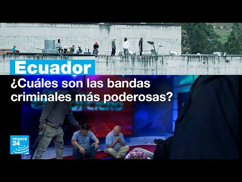 Ecuador: ¿cuáles son las bandas que tienen al país en estado de shock?