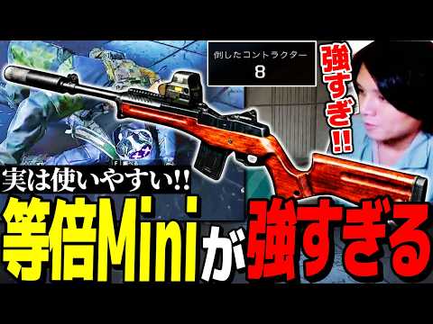実は使いやすい等倍Miniが強すぎるぞ！！【Arena Breakout：Infinite】