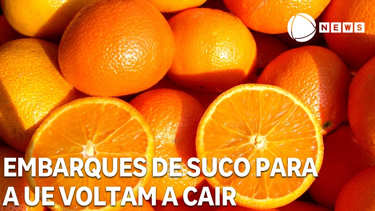 Embarques de suco de laranja para a União Europeia voltam a cair em fevereiro