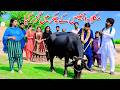 #cat Bhootna Shoki, Sanam , Bilo , Malangi & Muskan , Nomi , New Funny Video By Rachnavi Tv2