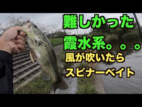 [バス釣り] また霞水系に行って来たが難しかった。。。