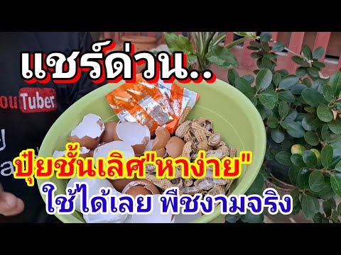 💥แชร์ด่วนปุ๋ยเชิดเลิศหาง่ายใช