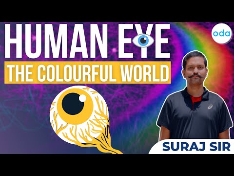 Human Eye & Colourful World