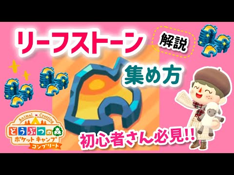 【ポケ森】リーフストーンをいっぱい貰おう✨もらえる場所や数を解説！初心者さん必見！【コンプリート】