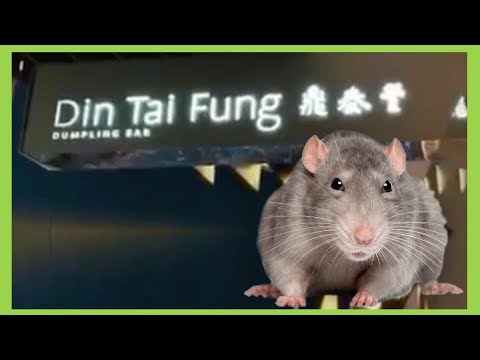 Rat Spotted in Din Tai Fung Dumplings Bar