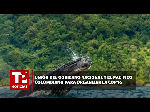Unión del Gobierno Nacional y el Pacífico colombiano para organizar la COP16 |24.02.2024| TPNoticias