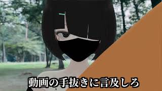 コレは「手抜きの動画」ではなく「豪華な近況報告」だと考えた方がお互いにとってプラスなのだからそうしませんか？？