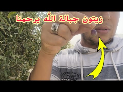 والله معرفت هاد 2025 مالها هكا غير الله يرحمنا برحمته