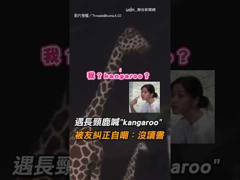【要確欸】路遇長頸鹿狂喊「kangaroo」 被友糾正自嘲：沒讀書｜長頸鹿｜英文｜荒謬