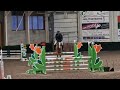 Show jumping horse Stunning rising 7yo mare by Zirocco Blue