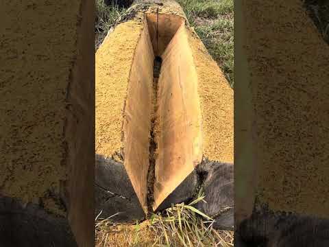 Tirando lasca galera 🤠#trabalho #lasca