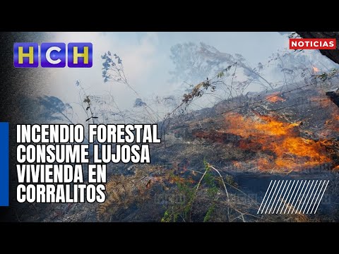 Incendio forestal consume lujosa vivienda en Corralitos