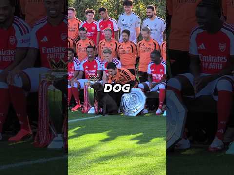 Why was every <strong>Arsenal</strong> player brought a dog during a <strong>photo</strong> session.🥶😍