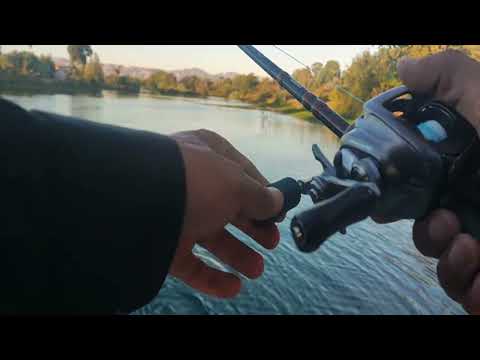 When all you catch is a minnow #fishing