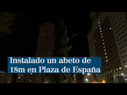 Madrid coloca un abeto de 18 metros en Plaza España
