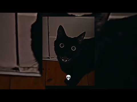 FUNK OSCURO -  [Super Slowed] - h6itam, ICEDMANE & DYSMANE [Tiktok version]