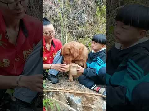 If you don't have a dog, you don't know the joy of raising a dog. Living in the country.