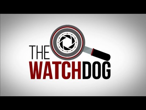 The Watchdog: 29 March 2022