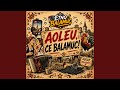 Aoleu, Ce Balamuc