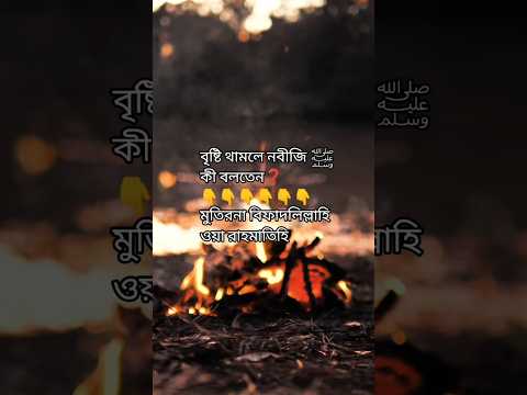 আপনি কি জানেন, বৃষ্টি থামলে নবীজি ﷺ কী বলতেন❓#বৃষ্টি #দোয়া #রহমত #shortvideo #motivation #ইসলাম