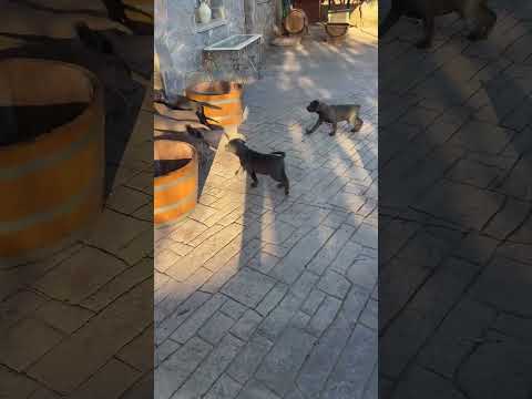 Check out my latest video