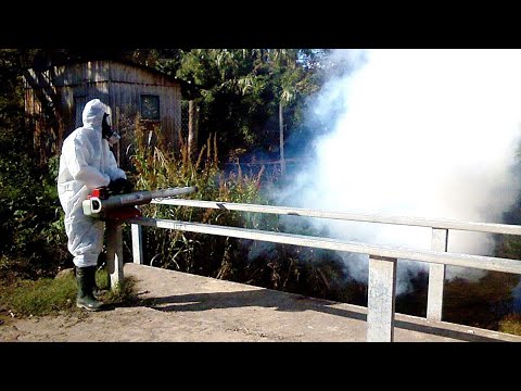 Se realizará una fumigación en Caranavi ¡La lucha contra el dengue no se detiene!