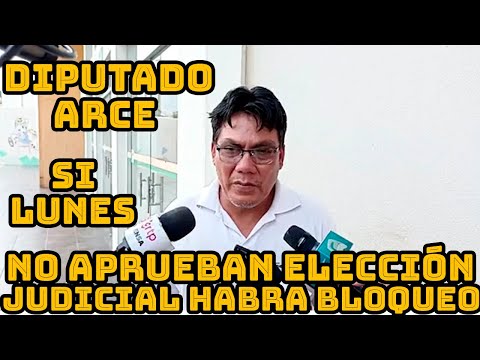 DIPUTADO HECTOR ARCE PIDE UN CUARTO INTERMEDIO HASTA QUE SE APRUEBE LEY ELECCIONES JUDICIAL BOLIVIA