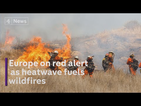 Red alert across Europe and much of the world as heatwave fuels wildfires