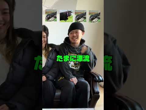 【お題が違うのは誰だ!】淡路飯人狼