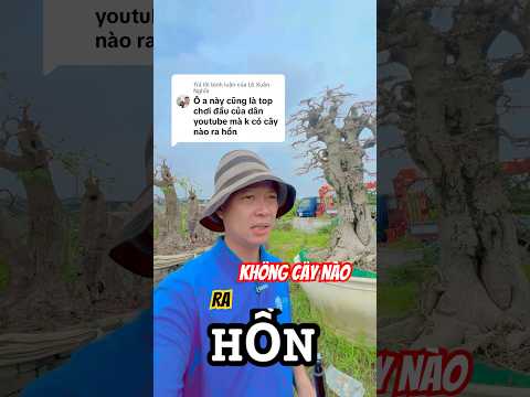 Không có cây nào ra hồn #tuanbonsai #vòi_tưới_cây  #caycanh #bonsai