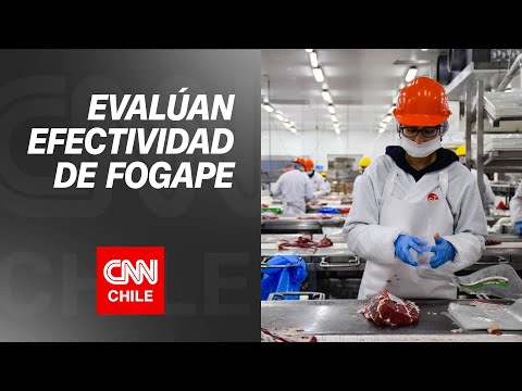 Agenda Económica | Asociación de Emprendedores de Chile realiza evaluación del programa Fogape