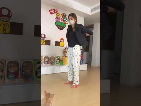 还学的有模有样的 #万物可爱计划 #宝贝年味企划 #新春萌宠才艺大赏