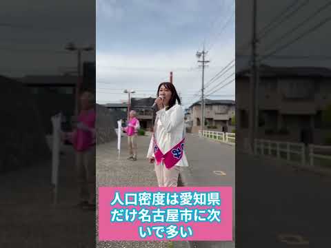 上野まさみ候補 北名古屋市議選