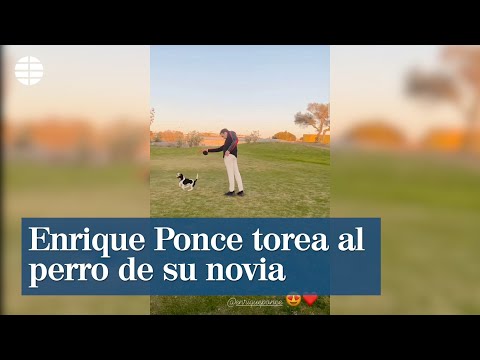 Enrique Ponce torea al perro de su novia
