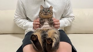 動画サムネイル
