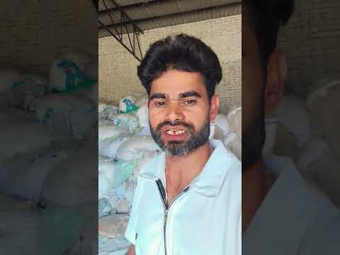 18 अक्तूबर 2025