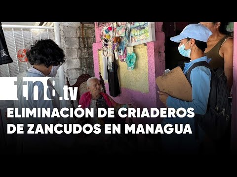 Fuera zancudos: Brigadistas aplican BTI en barrios de Managua - Nicaragua