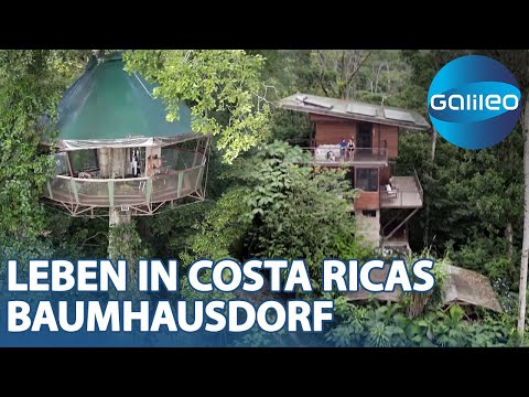 Bis zu 500€ pro Nacht: So lebt es sich im Baumhausdorf in Costa Rica